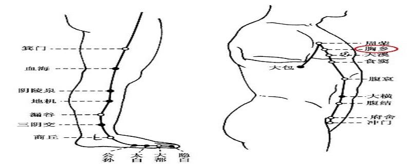 胸乡在什么位置（胸乡的准确位置和作用）