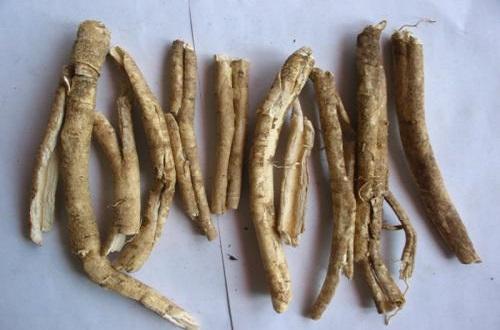 清热燥湿的中药有哪些（清热燥湿有哪些中成药）