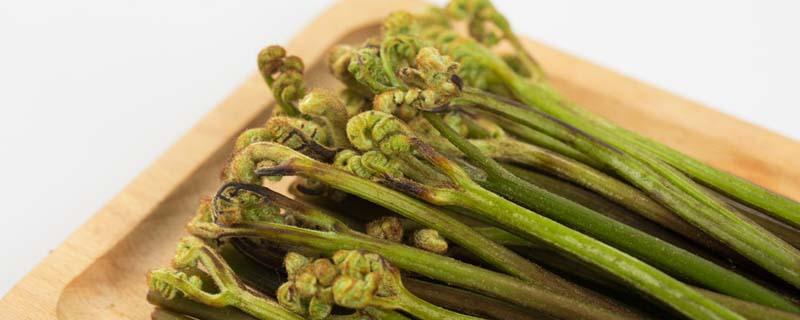 干蕨菜的功效作用 干蕨菜的功效与作用