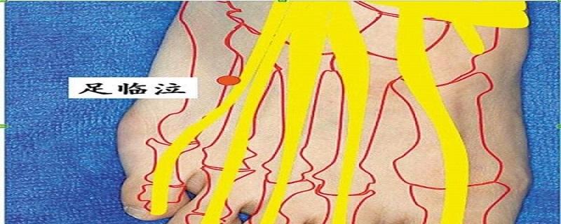足临泣回奶的具体位置 足临泣的位置在哪里