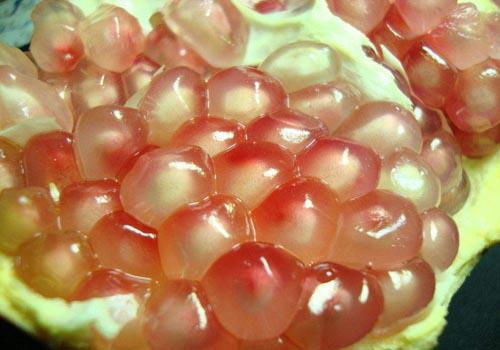 石榴煮水治拉肚子吗 石榴皮煮水治拉肚子吗