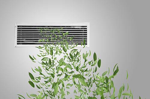 怎么吹空调是正确的（怎么吹空调是正确的温度）