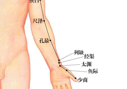 肺经在哪里（人体的肺经在哪里）