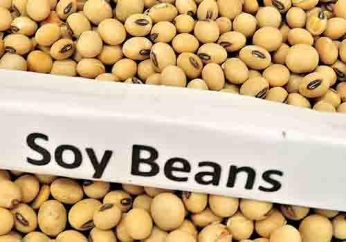 怎么喝豆浆比较好（怎样喝豆浆最健康）