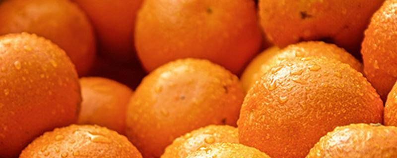 盐蒸橙子适合什么咳嗽 盐水蒸橙子适合寒咳还是热咳