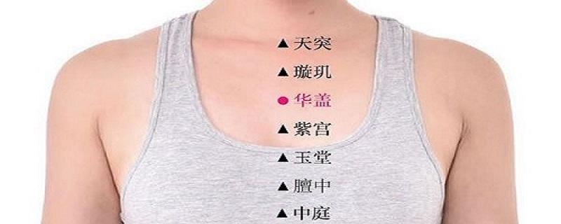 华盖定位和主治（华盖的准确位置与功效）