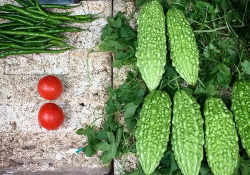 苦瓜可以去痱子吗 苦瓜怎么治痱子