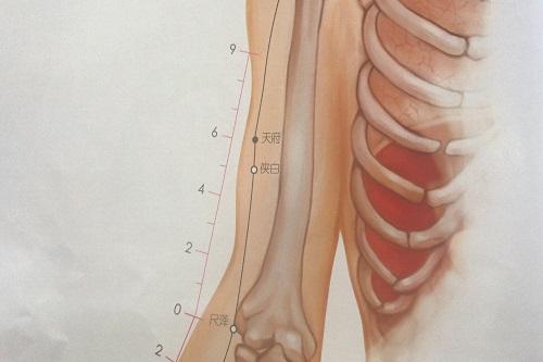 天府的准确位置图和作用 天府的准确位置图和作用的准确位置图片