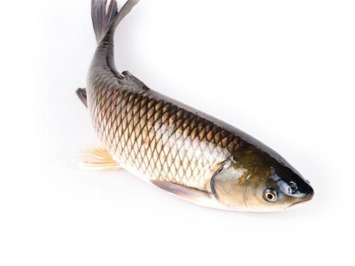 记忆力不好吃点什么 记忆力不好吃点什么药