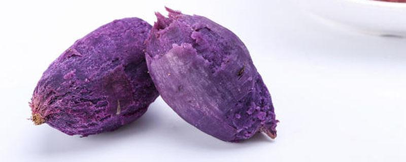紫薯和玉米能一起吃吗 紫薯和玉米怎样榨汁喝
