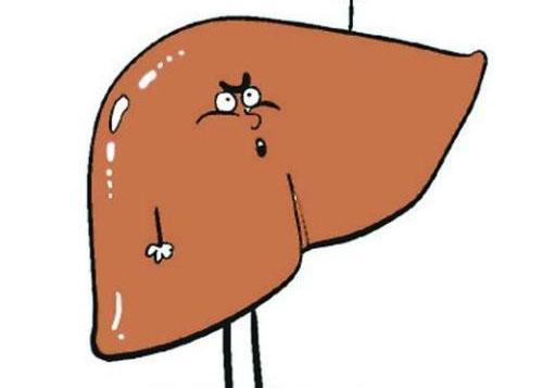 急性肝炎吃什么食物好(急性肝炎吃什么食物好消化)