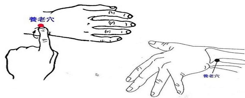 养老的准确位置图视频 养老的准确位置图视频讲座