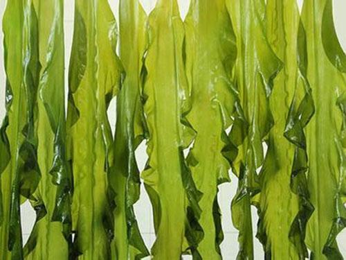 排毒吃什么蔬菜（吃什么蔬菜清肠道排毒）