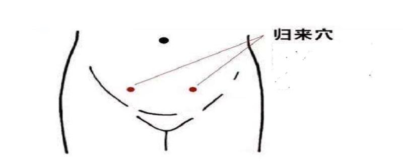 人体归来在什么位置（人体归元在什么位置）