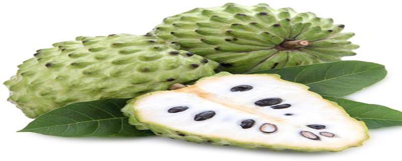 释迦果儿童可以吃吗（释迦果小孩能吃吗?）