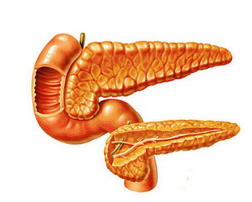 关于胰腺癌的较全面科普 了解胰腺癌