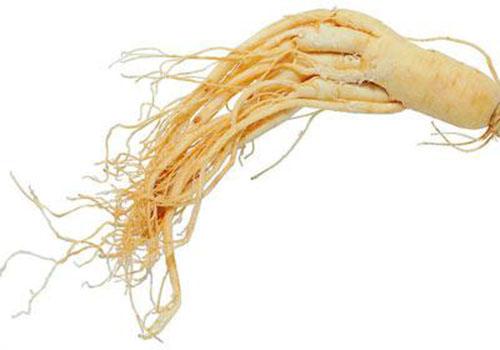 人参的营养价值