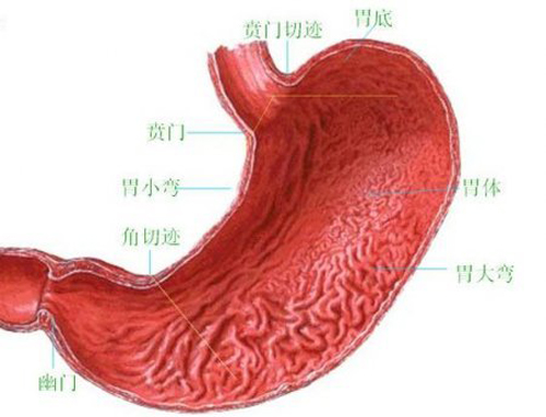 饭后反酸水是怎么回事 吃饭后反酸水