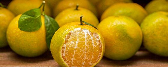 橘子和桔子的区别 橘子和柑子是一种水果吗