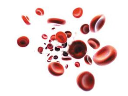 血友病的遗传方式伴x隐还是显(血友病伴性遗传是显性吗)