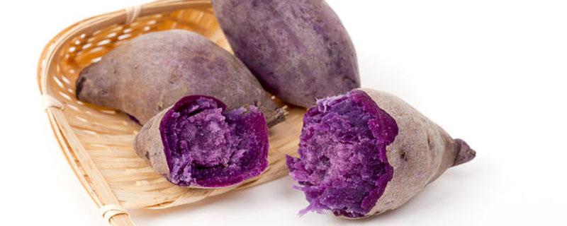 紫薯粥为什么是绿色的 紫薯怎么做好吃又简单