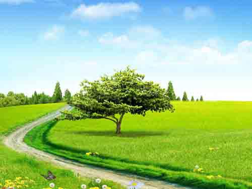 肝癌晚期要注意什么（肝癌晚期应该注意什么）