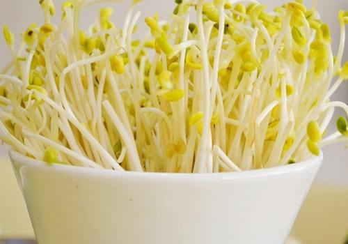 绿豆芽和鸡蛋能一起吃吗 绿豆芽有什么功效