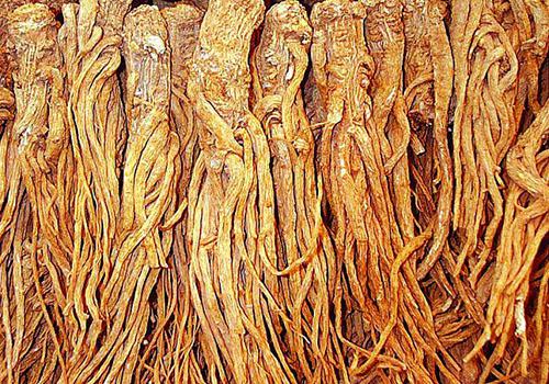 阴囊湿疹擦什么药效果好（阴囊湿疹用什么外用药最好）