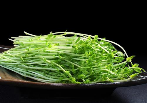 孕妇能吃豌豆苗吗(孕妇能吃豌豆苗吗晚期)