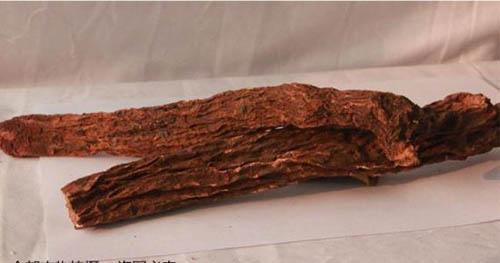 锁阳的营养价值（锁阳的营养价值高吗）