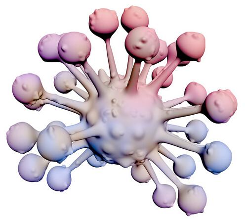 关于癌症预防和早诊的较全面知识（早期癌症的预防知识）