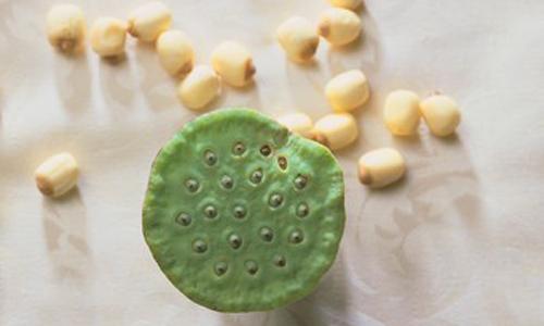 莲子发芽了还能吃吗 莲子发芽当然能吃!