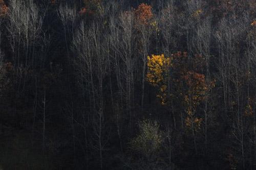 霜降如何养生 霜降养生五要点