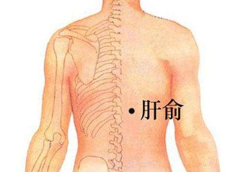 养肝护肝按摩哪里（养肝护肝按摩哪里好）