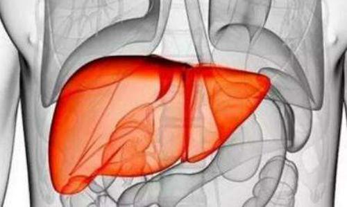 肝硬化并发症有哪些 肝硬化并发症有哪些严重