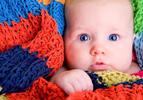 蚊子为什么喜欢咬小孩 蚊子为什么喜欢咬小孩眼皮