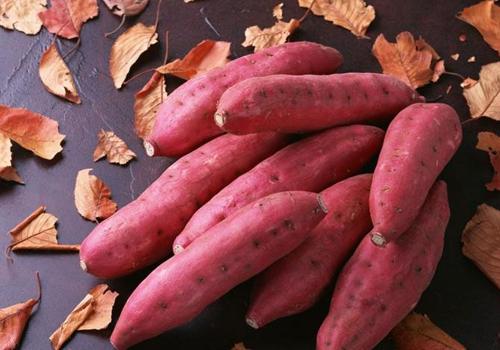 吃红薯可以治便秘吗（吃红薯可以治便秘吗?）