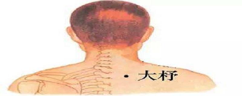 大杼准确位置图和作用（大杼的准确位置图）