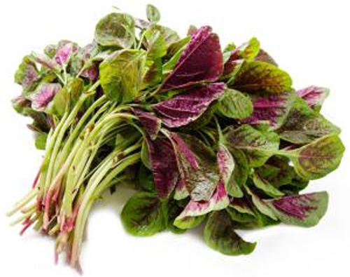 吃哪些食物降血压（吃哪些食物降血压效果最好）