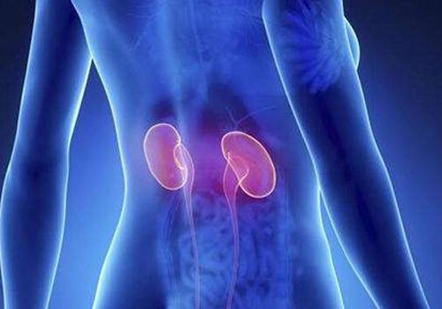肾脏不好会高血压吗 肾脏不好会高血压吗女性