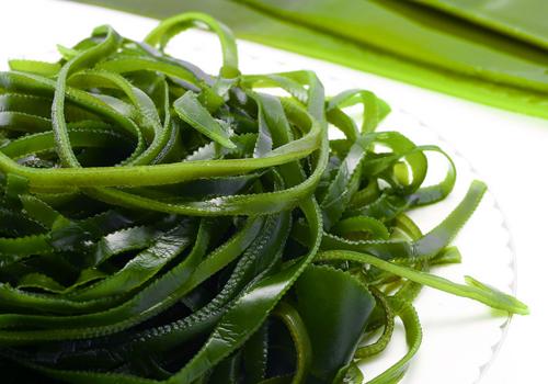 煮熟的海带可以冷冻保存吗 海带冷冻保存要注意什么