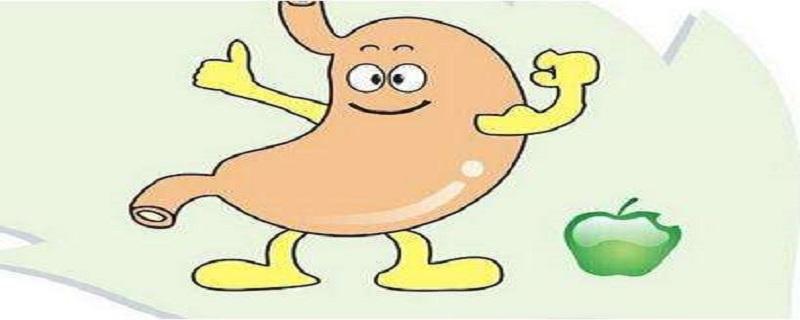 健脾胃按摩哪里最有效（健脾养胃按摩哪里最有效）