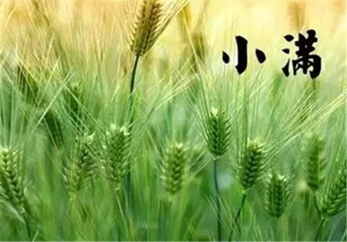 小满如何养生（小满饮食养生）