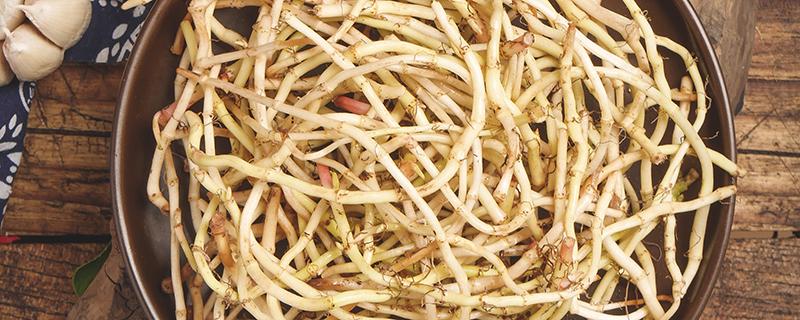 慢性胃炎可以吃折耳根吗（胃炎能吃折耳根吗）