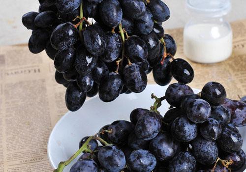 补肾的食物有哪些 补肾的食物有哪些蔬菜