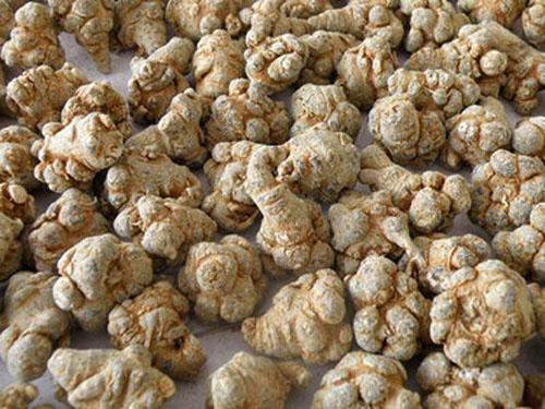 三七怎么吃最好 关键要看搭配