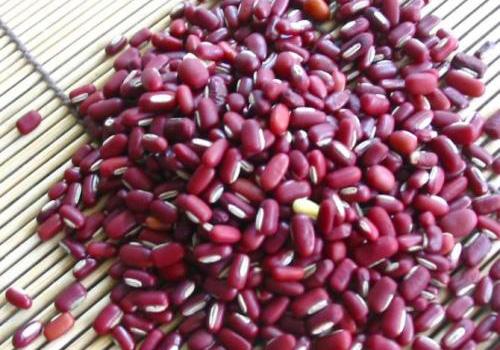 胆结石吃什么最好 胆结石吃什么好