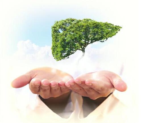 广为流传的5大肝癌谣言大起底 8个肝癌早期信号,可惜很多人都忽视了