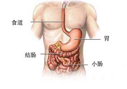 甲亢的危害有哪些（甲亢的危害有什么）