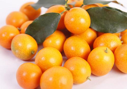 孕妇咳嗽可以吃金桔吗 孕妇金桔冰糖止咳的做法大全